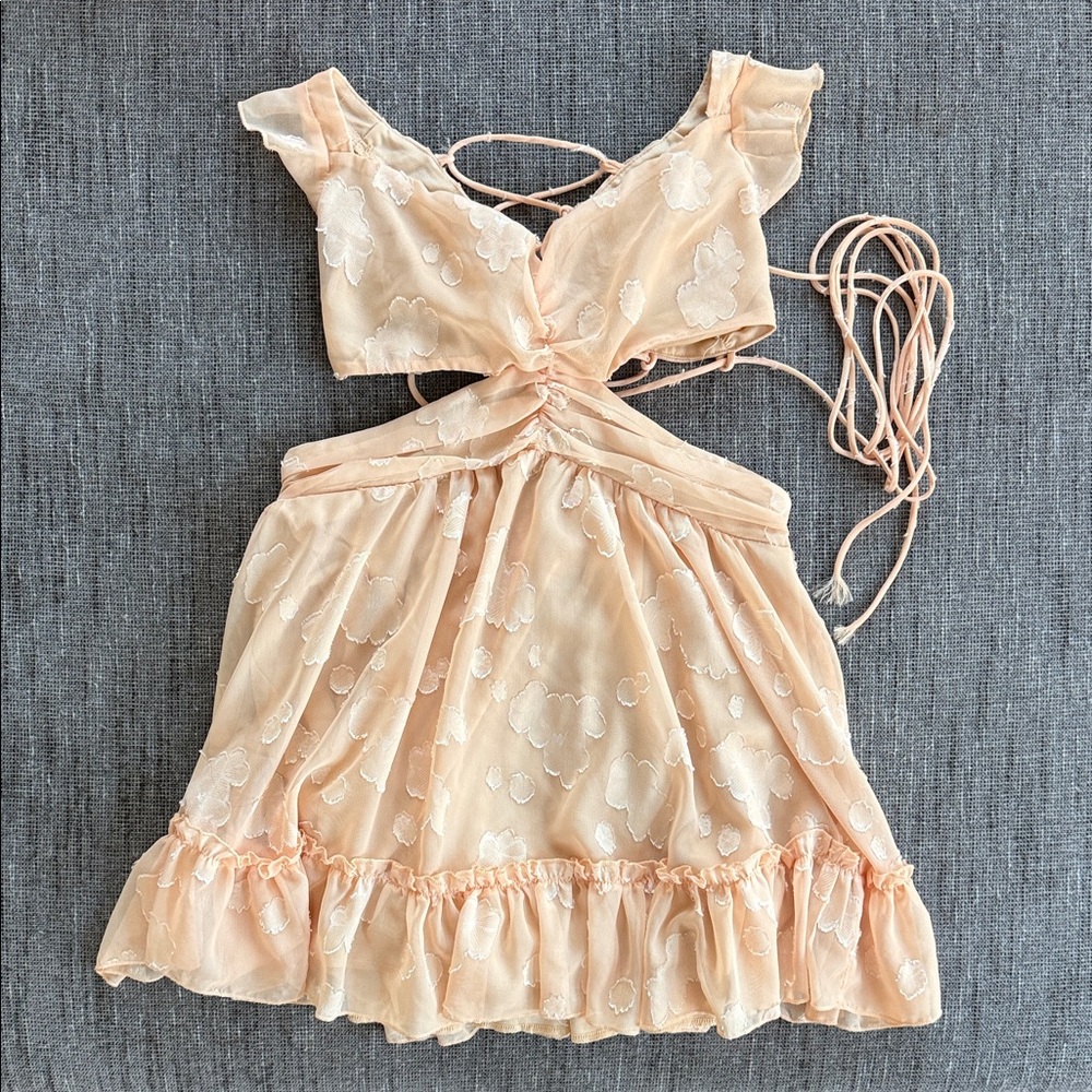 Lucy in the Sky Blush Floral Dress